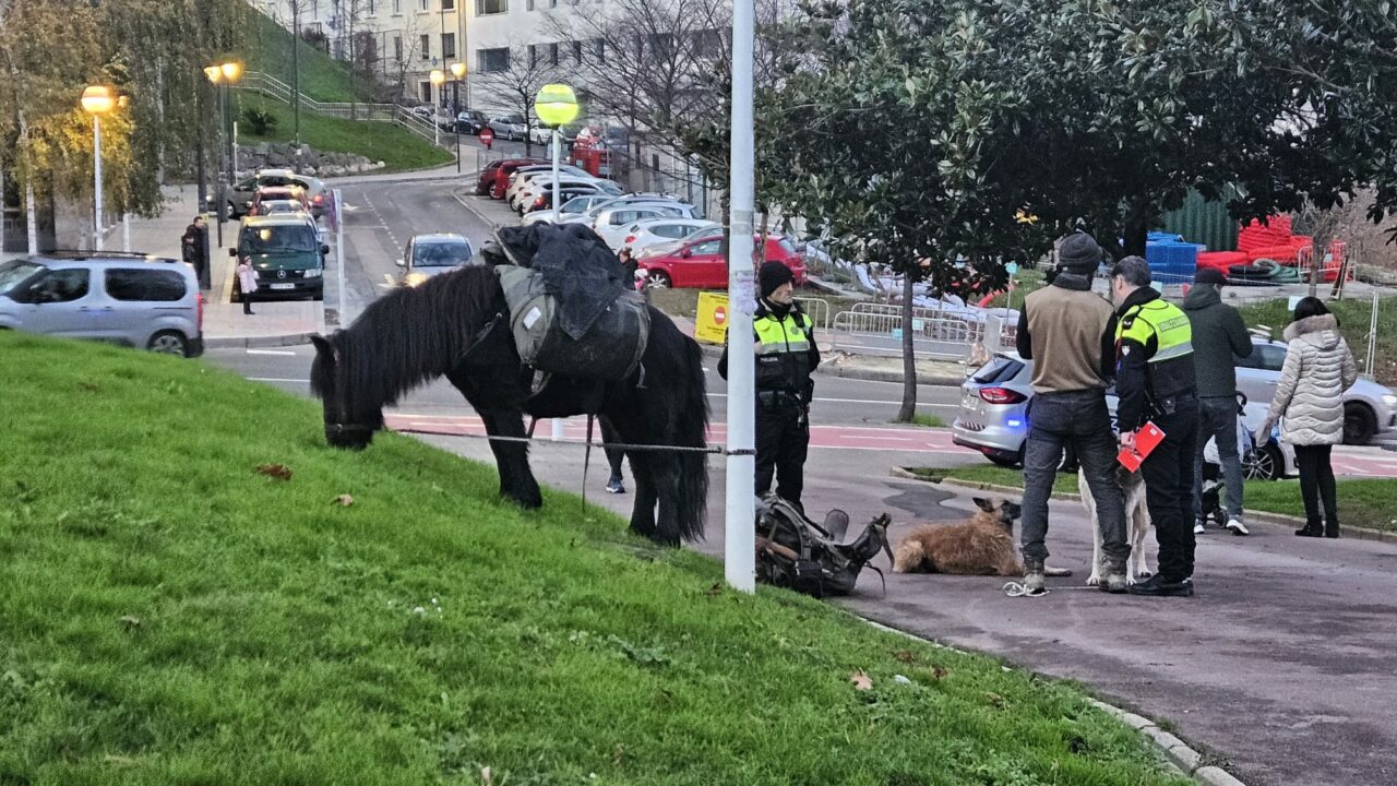 Quién es el hombre que pasea por Bilbao con un caballo, un pony y dos perros