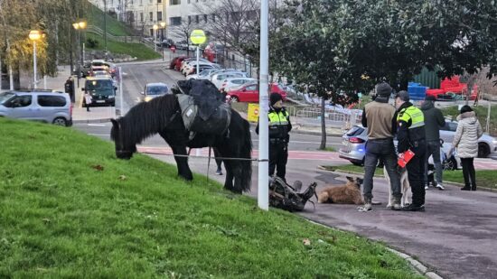 Quién es el hombre que pasea por Bilbao con un caballo, un pony y dos perros