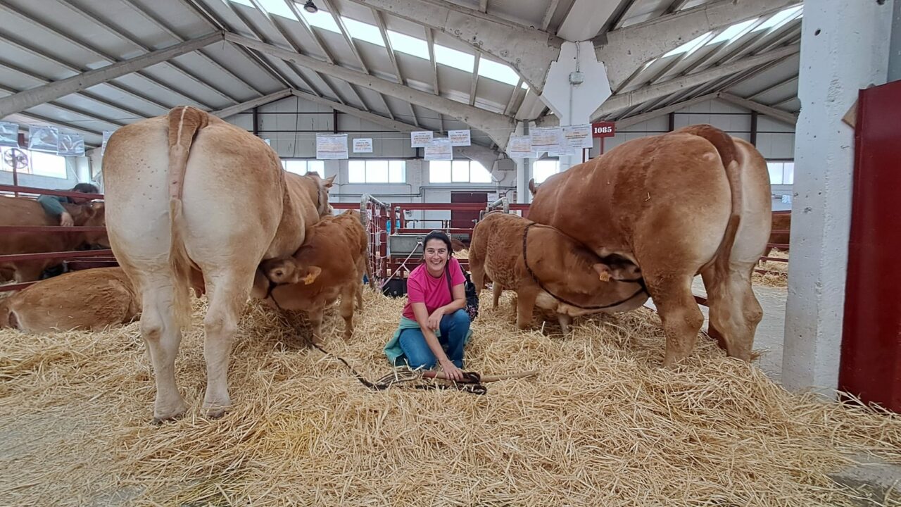 La vaca Teka, de Sopuerta, se corona como la mejor de España en la Feria de Salamanca