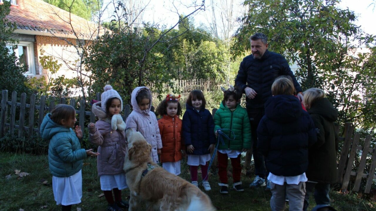 En Navidad nos recuerdan que «un perro no es un juguete»