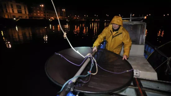 Se levanta la veda para la pesca de angula en Euskadi