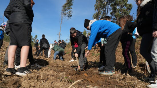 Estudiantes de Muskiz reforestan 30.000 metros cuadrados de monte quemado