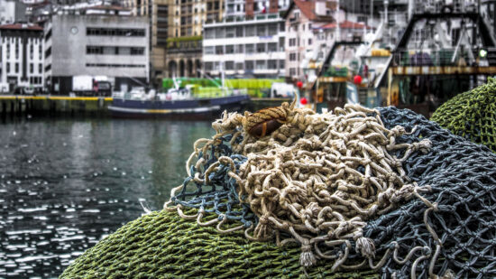 Pescadores vascos contra Bruselas: «No pescamos delfines. Nos culpan sin pruebas y favorecen a la flota asiática»