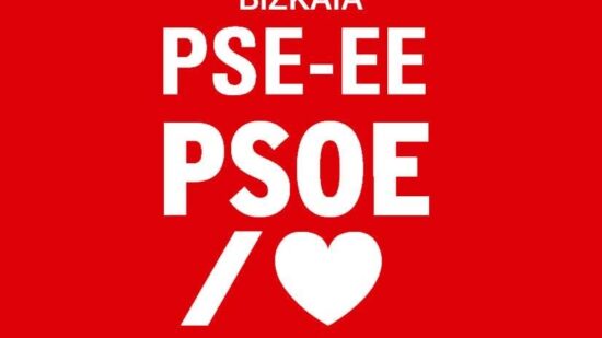 El PSE-EE BIZKAIA ya tiene nuevo secretario general