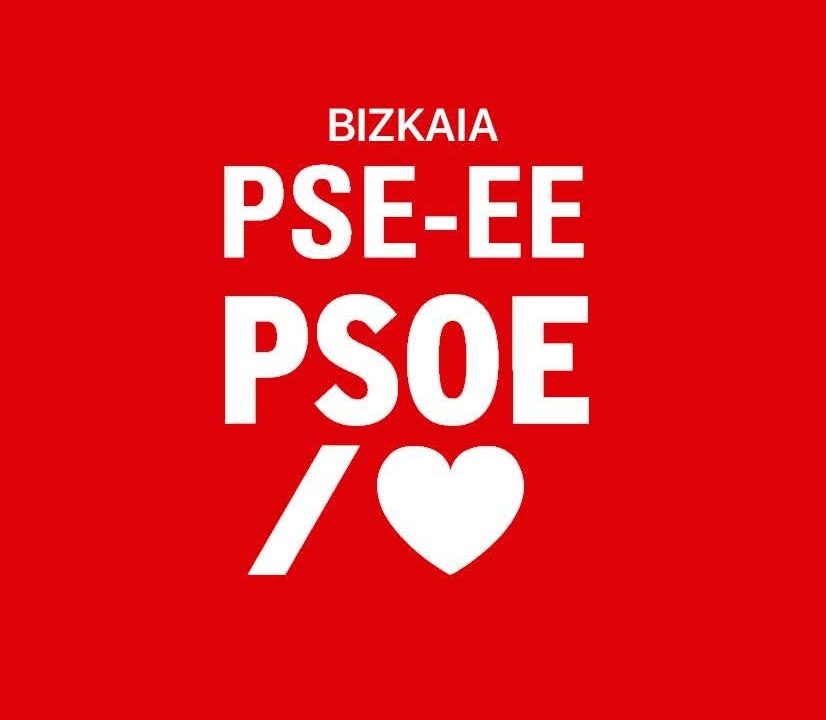 El PSE-EE BIZKAIA ya tiene nuevo secretario general