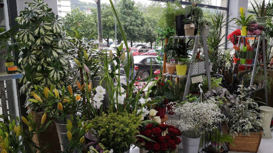 En San Valentín también se rechazan flores. ¿Qué harías tú?