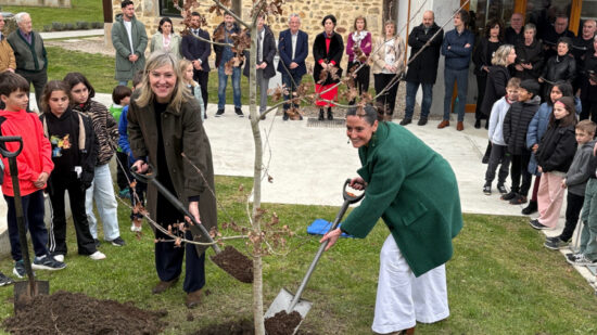 Plantado un nuevo retoño del Árbol de Gernika en los Jardines de Muruetatorre en Durango