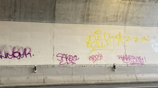 Identificadas tres personas por grafitis y vandalismo en Bermeo