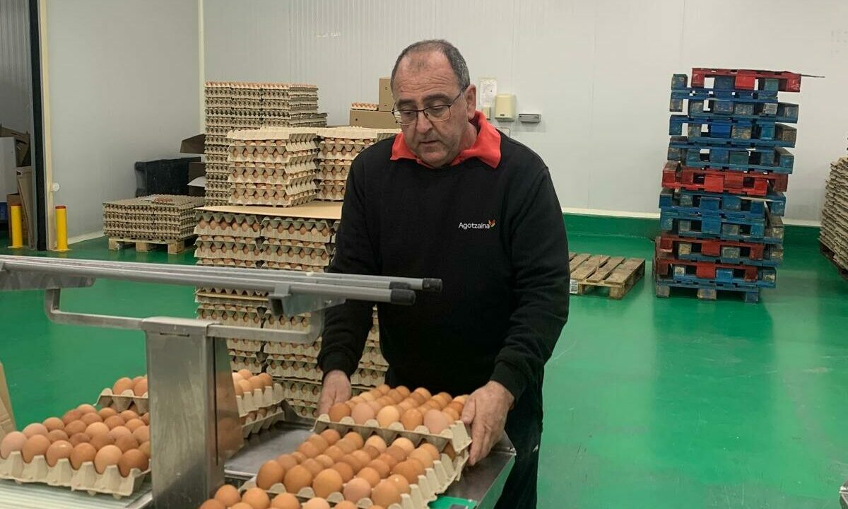 Fernando Larrucea, productor avícola de Larrabetzu: «Estamos llegando a precios históricos»