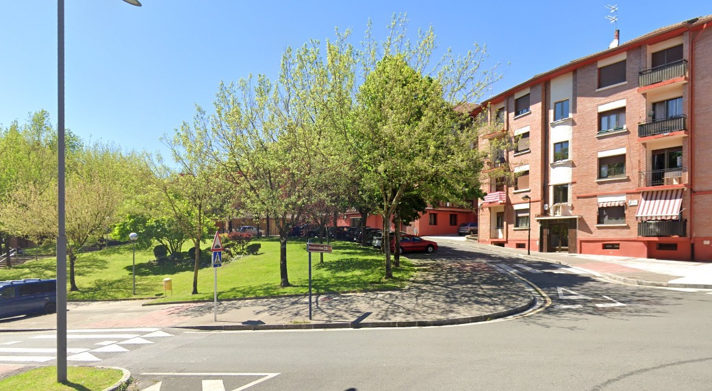 Este es el único árbol que solo nace en Euskadi