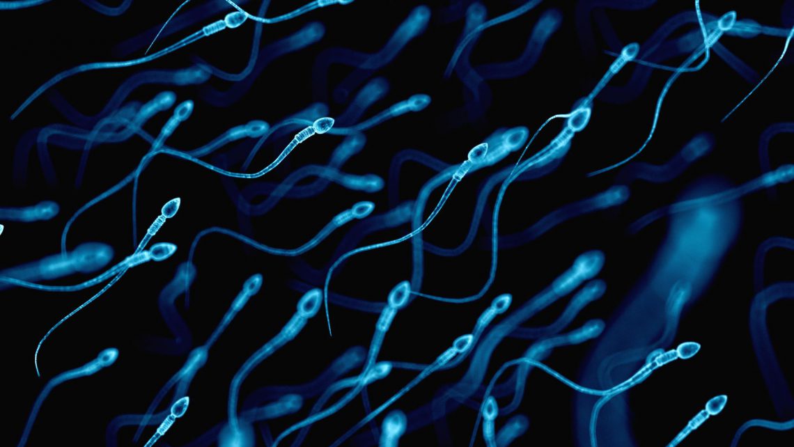 La calidad del semen cae en España: así afecta a la salud reproductiva del hombre