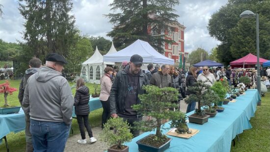 Güeñes celebra el Mercado de Flores y Plantas con 50 puestos y actividades para toda la familia