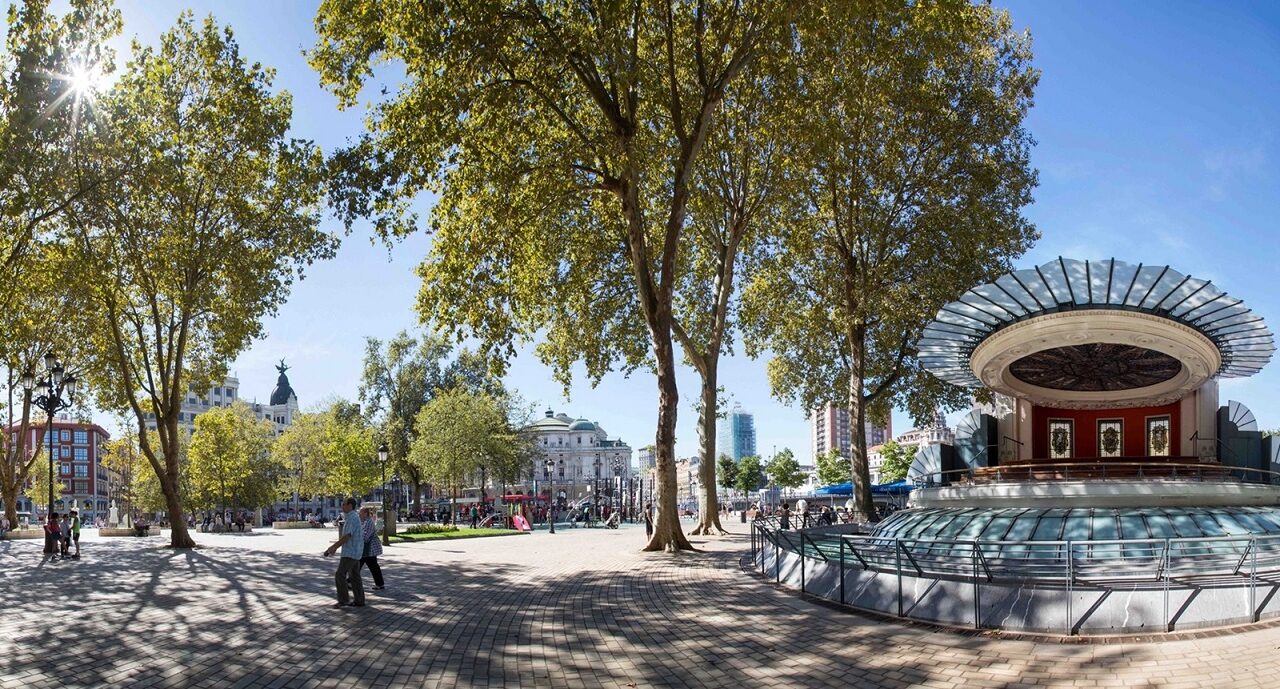 Los centenarios árboles de sombra del centro de Bilbao baten récords