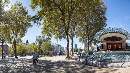 Los centenarios árboles de sombra del centro de Bilbao baten récords
