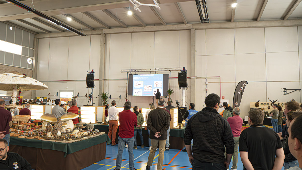 Programa especial desde la Feria de Capesmer en Villarcayo: música, ambiente y entrevistas
