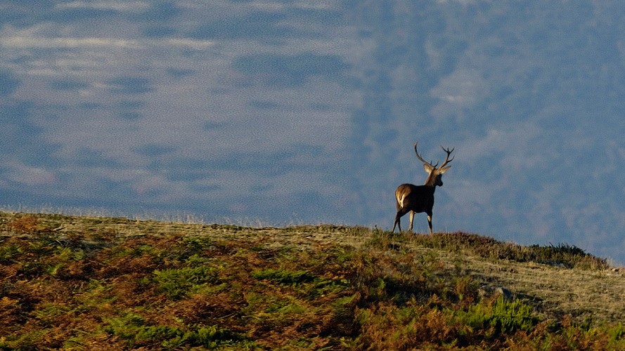 Este parque de Euskadi es el mejor Destino Natural, según los premios National Geographic