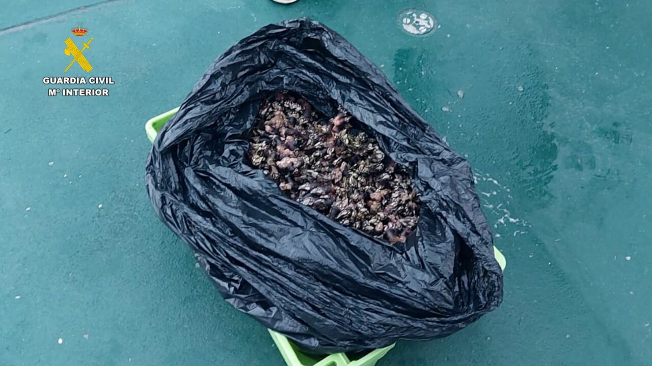 Dos investigados por recolectar ilegalmente 16 kilos de percebes en la isla de Izaro