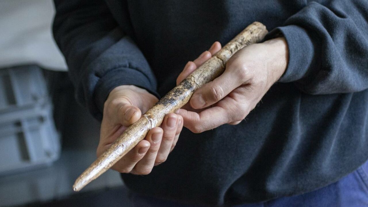 Se encuentran herramientas  fabricadas con huesos de ballena de hace más de 20.000 años en Bizkaia