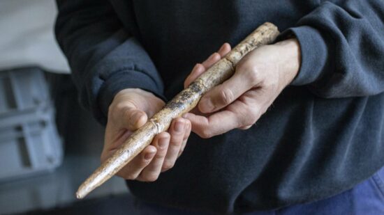 Se encuentran herramientas  fabricadas con huesos de ballena de hace más de 20.000 años en Bizkaia