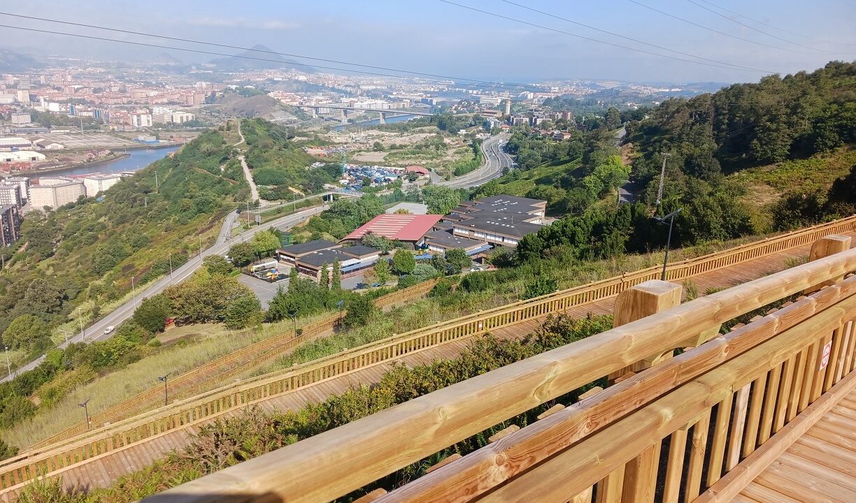 Bilbao verde: más de 1.600 árboles nuevos y puedes seguirlos a través de un mapa interactivo
