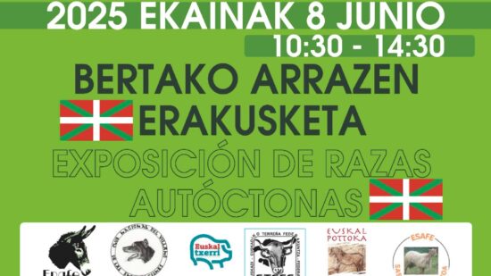 La feria que exhibirá este fin de semana el mejor ganado vasco a 15 minutos de Bilbao