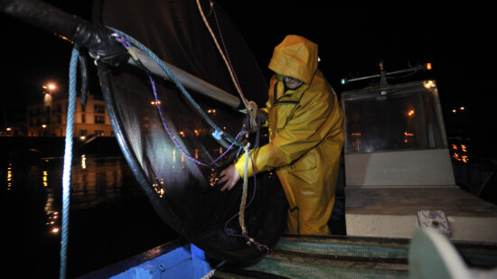 Abierto el plazo para solicitar la licencia de pesca profesional de angula en Euskadi