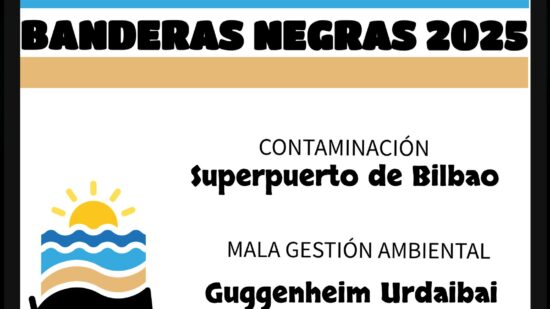 Banderas negras en cuatro puntos del litoral vasco para este verano