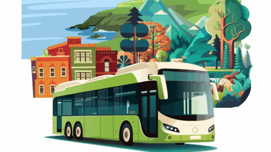Bizkaia EKO Bus: este verano descubre la costa sin coche y con sabor local