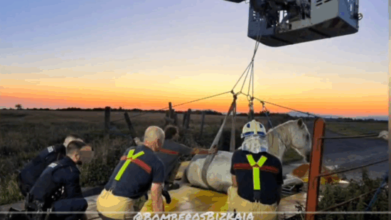 Así ha sido el rescate de un caballo atrapado en un paso canadiense en La Arboleda