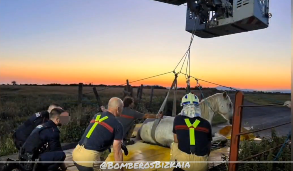 Así ha sido el rescate de un caballo atrapado en un paso canadiense en La Arboleda