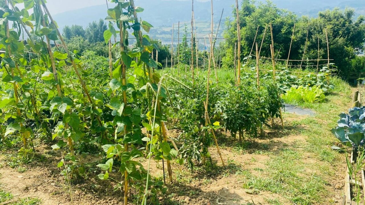 Santurtzi sortea 21 huertos urbanos para su uso durante cuatro años