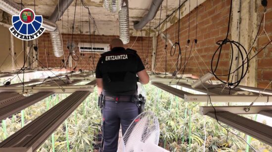 Dos detenidos por una plantación de marihuana ‘indoor’ en Zalla