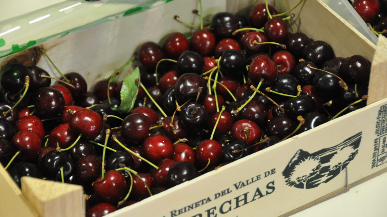 Más de 3.500 kilos de cerezas inundarán la Plaza Nueva de Bilbao este sábado