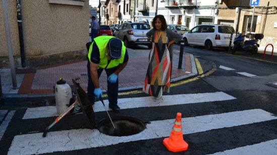 Sestao lanza un plan especial contra las cucarachas para frenar su proliferación en verano