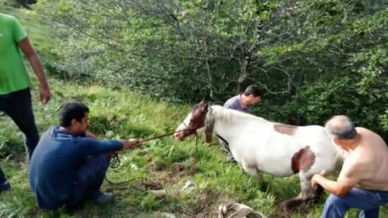 Ganaderos del Gorbea rescatan ‘in extremis’ a una yegua atrapada en una grieta