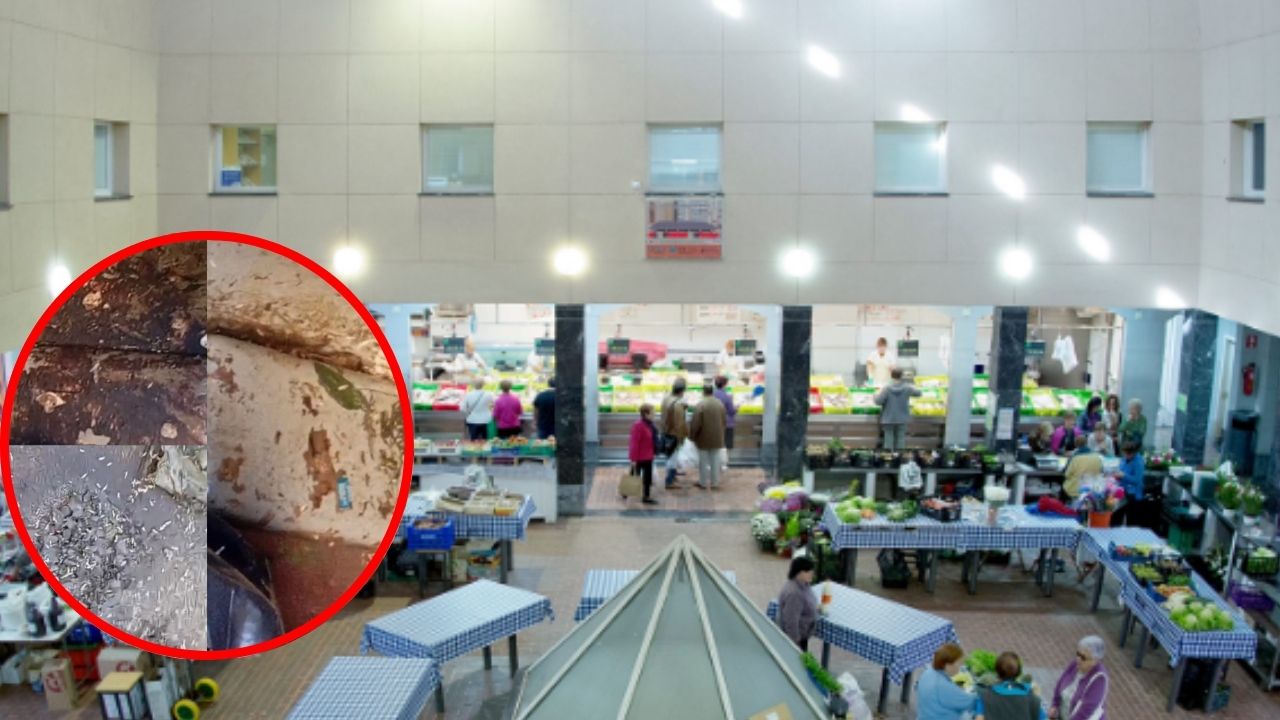 Hartos del mal olor en el Mercado de Abastos en Bermeo: «Hay hasta gusanos»