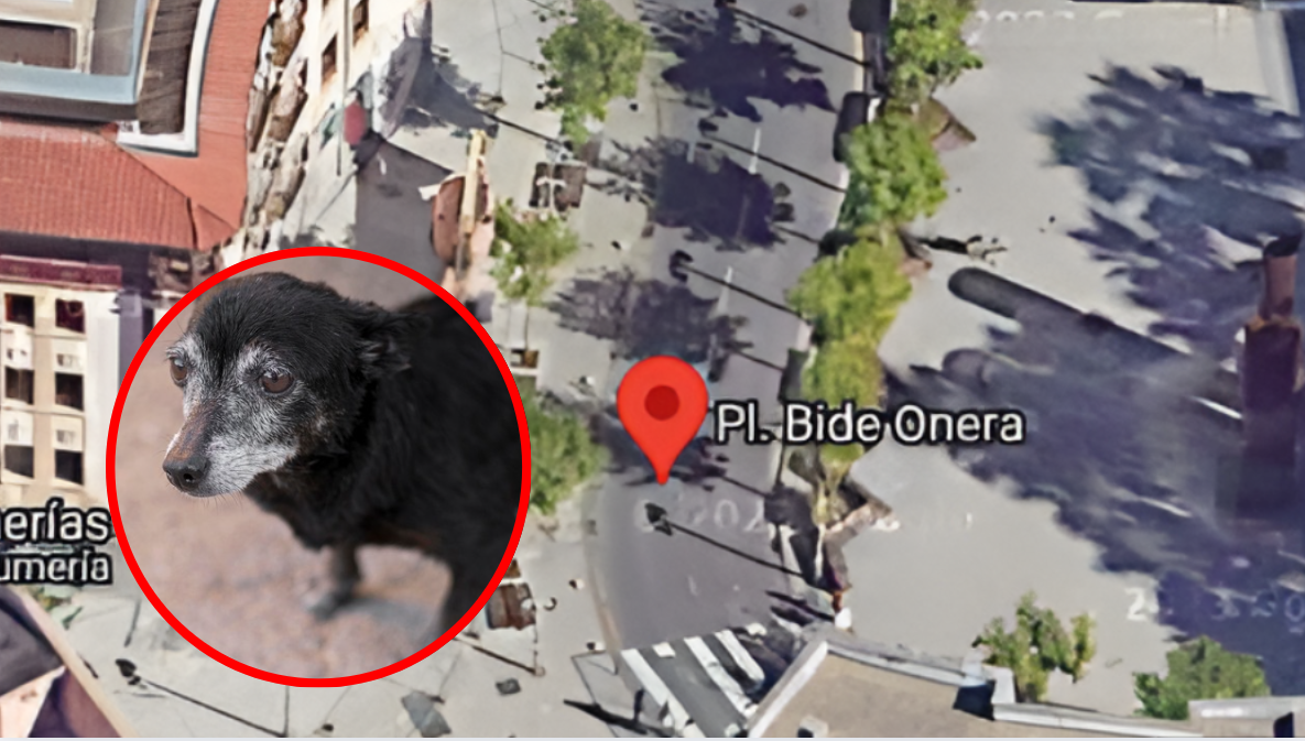 Mercadillo perruno solidario en Barakaldo para ayudar a perros ancianos