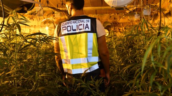 Desmantelan una plantación de marihuana en un chalé de lujo en Castro