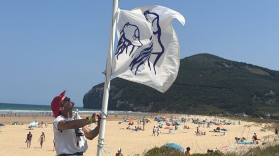 Temor en la playa de Berria: 35 picaduras de medusa en media hora