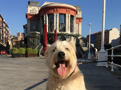 Bilbao se consolida como la cuarta ciudad más pet-friendly de España en 2025
