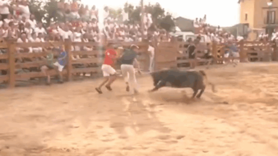 Xabier, exlocutor de Radio Nervión, arrollado en directo por una vaquilla en las fiestas de Sesma