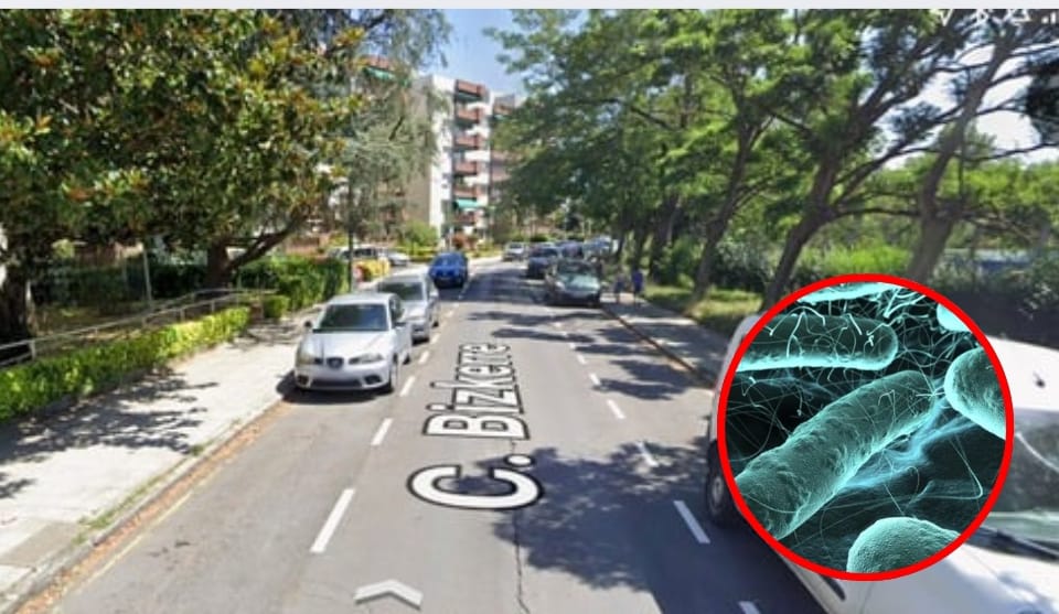 Detectada legionella en las tuberías de un edificio de Getxo tras el ingreso de una vecina