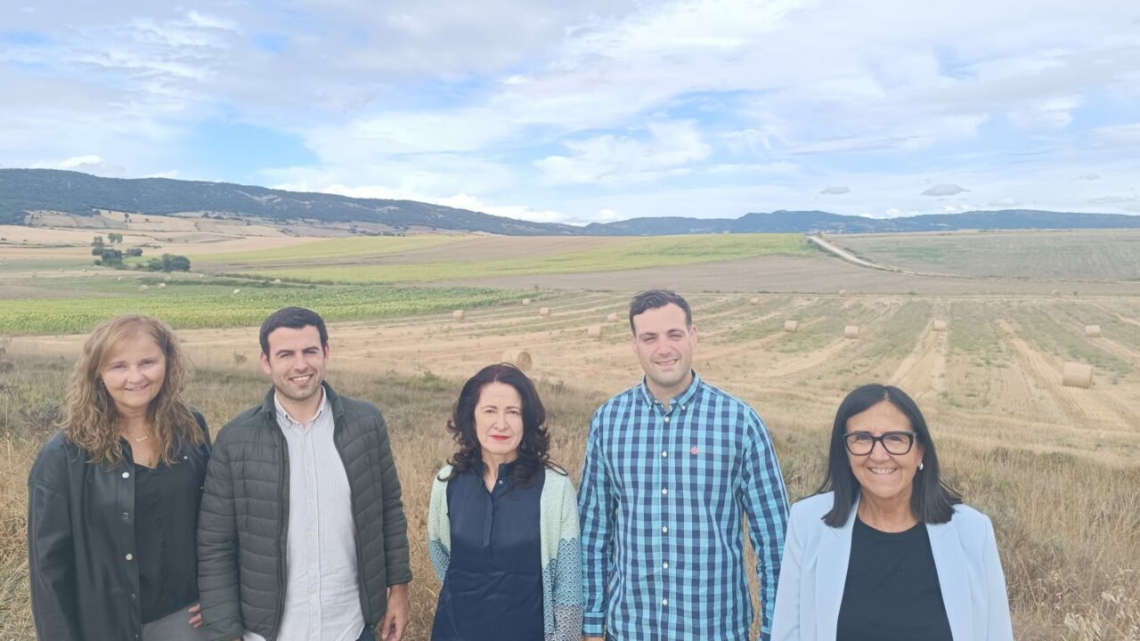 Villarcayo rechaza el macro parque solar Villa FV y presenta alegaciones