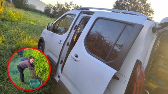 Georgina, la “mujer gallo de pelea” que combina su empresa de limpieza con la vendimia del txakoli
