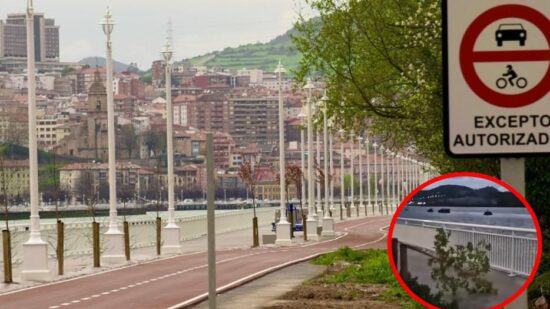 Destrozan los árboles del nuevo bidegorri de Lamiako: «El que los haya visto que no tenga miedo a denunciar»