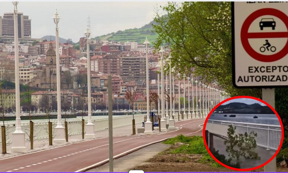 Destrozan los árboles del nuevo bidegorri de Lamiako: «El que los haya visto que no tenga miedo a denunciar»