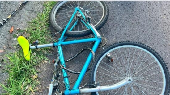 ¿Reconoces esta bicicleta? Se busca a su dueño por un posible atropello con fuga en Berango