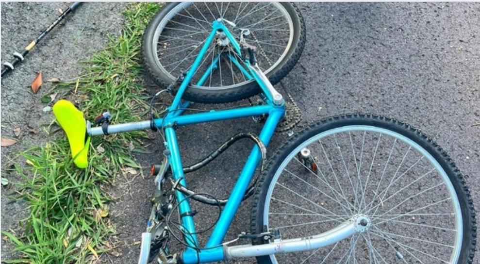 ¿Reconoces esta bicicleta? Se busca a su dueño por un posible atropello con fuga en Berango
