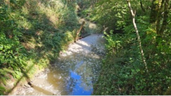 El vertido de bentonita en el río Atxuri obliga a paralizar obras en Mungia