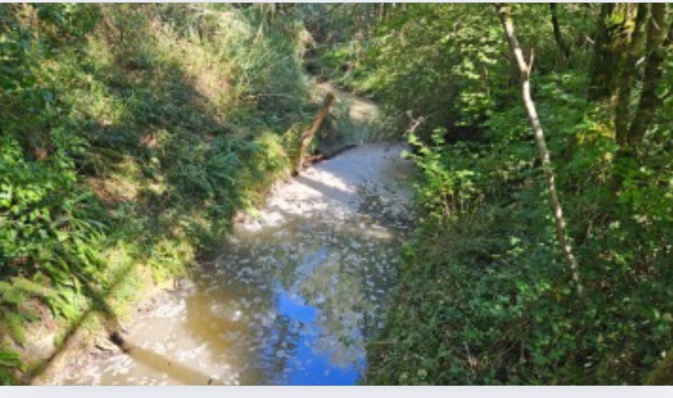 El vertido de bentonita en el río Atxuri obliga a paralizar obras en Mungia